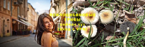 винт Кукмор