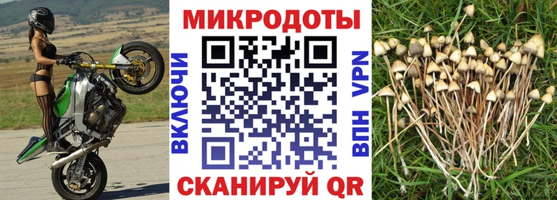 Купить где  Трёхгорный  Галлюциногенные грибы MAGIC MUSHROOMS 